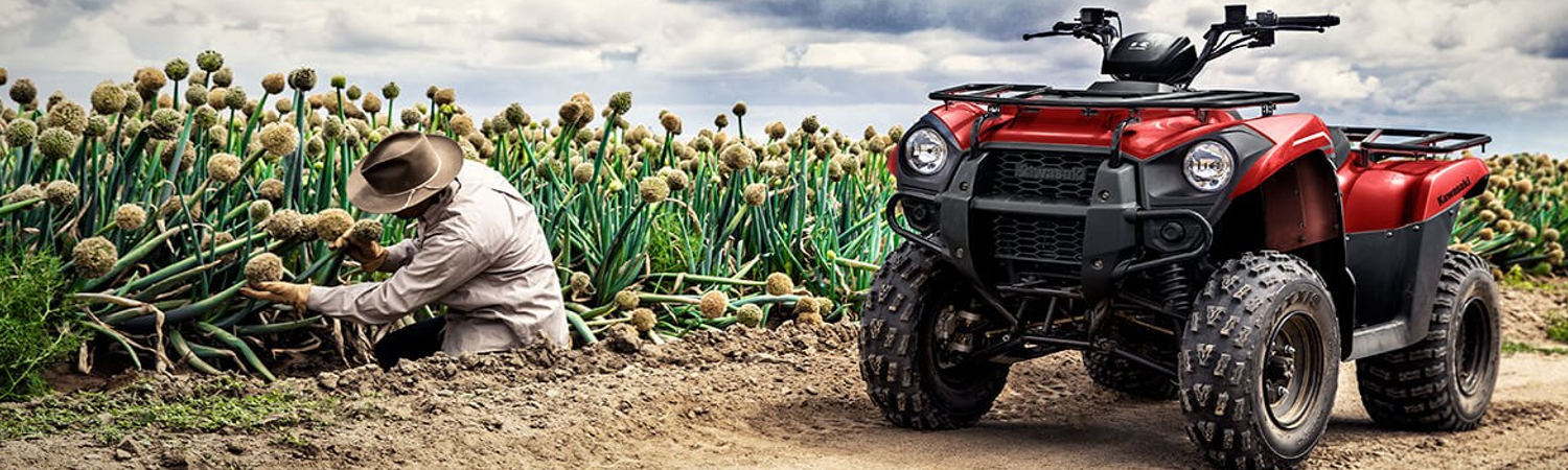 2020 Kawasaki Brute Force